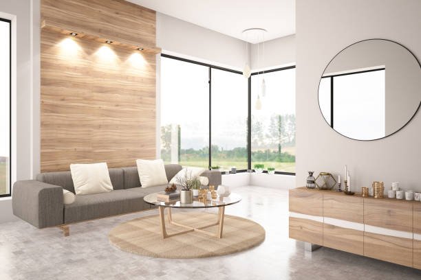 Modern living room interior with sofa